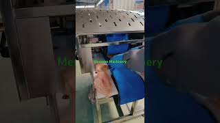 MNSQPJ100 Chicken Breast Slicing Machine [upl. by Eelytsirk]