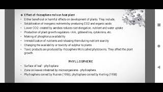 SJCTNCMrsDDHARMADEVI 20EZ513A BIOFERTILIZER TECHNOLOGYUNIT 1RHIZOSPHERE [upl. by Eellac]