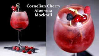 Easy homemade pastille mocktail  cornelian cherry aloe vera mocktail [upl. by Olimreh217]