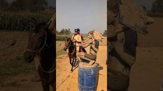 The Police Men Vs Statue 🗿😅 Wait wait trending comedy viral [upl. by Vani]