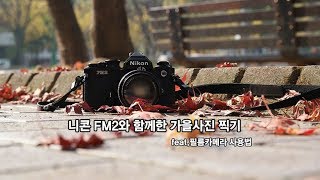 니콘FM2 사용법amp사용기  가을풍경 담아봤어요feat필름카메라 필름 빼는 법 필름 넣는 법 [upl. by Yraunaj]