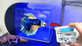 Unboxing NEW BETTA FISH TANK AQUARIUM SETUP [upl. by Nylcoj]