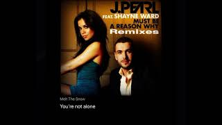 Melt the snow  Shayne Ward tpt1708 [upl. by Wallas]