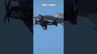 Legacy Flight F8F Bearcat with F18 Super Hornet [upl. by Eelamme138]