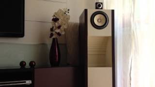 Fostex FE208 EΣ  Horn Tweeter FT17H [upl. by Domini886]