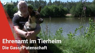 Ehrenamt im Tierheim Roth Die GassiPatenschaft [upl. by Arabel]