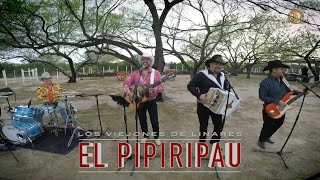 El Pipiripau Los Viejones de Linares [upl. by Island]