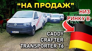 Буси по низу ринку Caddy Transporter T6 Crafter і пасажирські T5 Caravelle [upl. by Henigman487]