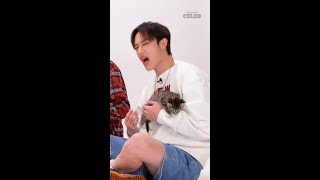 Stray Kids The Kitten Interview Thursday 620 youre welcome hehe 😻 [upl. by Flodur]