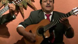 Canción del mariachi Morena de mi corazón TRIO SOL DE AMERICA [upl. by Lonergan34]