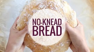 No Knead Bread [upl. by Nerret]