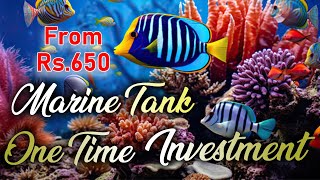 One Time Investment தான் Marine Tank  Aqualife  Marine Fishes  Guide amp Tips [upl. by Janey471]