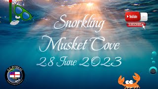 6 Musket cove snorkel pt1 28june23 [upl. by Orit208]