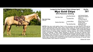 Pitzer Ranch Fall Sale 2024 Lot 301 WYO GOLD CHIPS [upl. by West855]