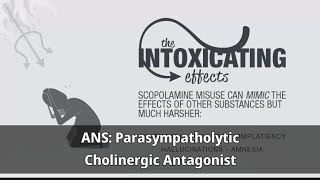 9ANS Parasympatholytic Drugs Cholinergic antagonist Atropine الادوية المثبطة لجارالسيمبثاوي [upl. by Asusej]