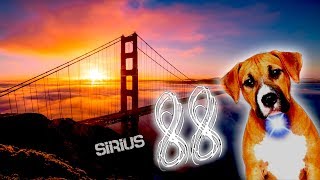 SIRIUS  Heliacal Rising  SAN FRANCISCO 88 [upl. by Ahsirkal]