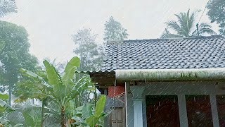 Sleep soundly with the sound of rain on the roof of the village house l rain sounds for sleeping [upl. by Saddler]