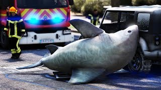 GTA 5 UN REQUIN AU MILIEU DE LA ROUTE  LSRD  SAPEURPOMPIER INTERVENTION57 [upl. by Ecaidnac284]