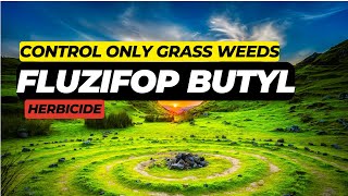 Fluzifop Butyl Herbicide Effective Grass Weed Control in Agriculture  Mode of Action amp Uses [upl. by Annairdua]