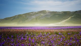 Castelluccio di Norcia Umbria Italy  VEE Experience [upl. by Nashom]