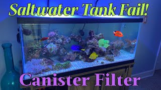 Fixing Saltwater tank with Canister filter [upl. by Allenad]