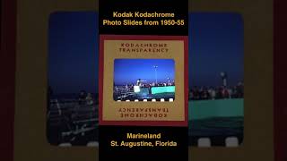 Kodak Kodachrome Slides from 1950 to 1955 Marineland St Augustine Florida  Yesterdays Memories 25 [upl. by Errick329]