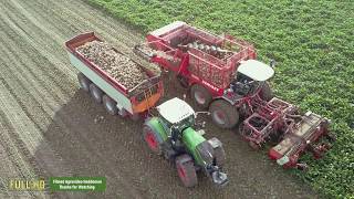 Bieten rooien  Loonbedrijf Breure  De Waard  Vervaet Evo 925  Sugar beet Harvester  Flevoland [upl. by Carothers898]