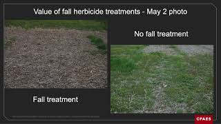 Herbicide Management in non GMO corn and soybeans [upl. by Loats172]