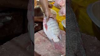 Amazing Tilapia Fish Cutting BDbdfishcutting fishcuttinginbangladesh fish fishcuttingskill [upl. by Letrice]