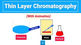 Thin Layer Chromatography  Animation [upl. by Aihk692]