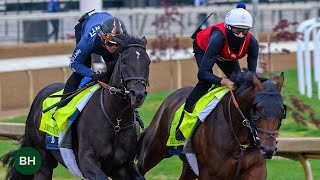 Sierra Leone Breeze Leads Busy Day a Week Before the Derby 2024 Kentucky Derby 150 Training 42724 [upl. by Bitthia243]