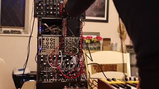 Moog Synth Tower  First Test Mother 32 and Behringer Model D [upl. by Kask342]