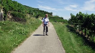 Welterbesteig Wachau Etappe von Dürnstein nach Krems [upl. by Ahsinauj]