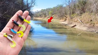 White Bass Run  Nueces River TX [upl. by Ansel]