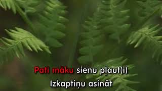 Div pļaviņas es nopļāvu KARAOKE [upl. by Guilbert]