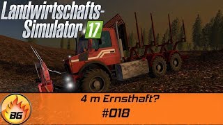 LS17  Forstprojekt 018  4 m Ernsthaft  Lets Play HD [upl. by Ysle]