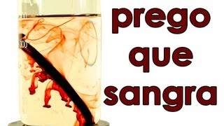 O prego que sangra SuperQUÍMICA [upl. by Joshuah9]