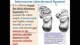 Anatomy of tarsal canal and sinus ligaments postgraduate highlights [upl. by Geesey35]