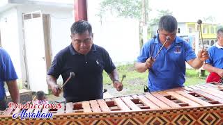 El Carro de Federico  Marimba horquesta Alma Chinanteca [upl. by Cherish]