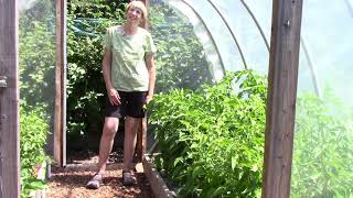 Vegetable Garden Update Everyone Can Grow A Garden 23 [upl. by Manthei]