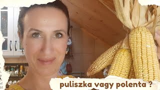 Puliszka vagy polenta  néhány igazán finom recept [upl. by Schultz]