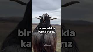 Kimdir bu Gulyabani  🤔 keşfet ilginç [upl. by Acissj]