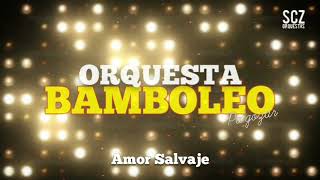 ORQUESTA BAMBOLEO  AMOR SALVAJEMERENGUE [upl. by Carri]