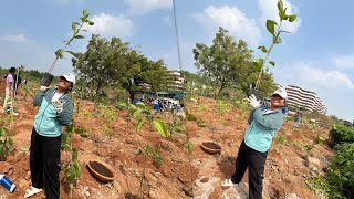 Plantation drive day at IIT Hyderabad [upl. by Aicyle]