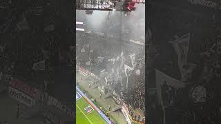 Nordwestkurve Eintracht Frankfurt vs Werder Bremen 23112024 [upl. by Zela263]