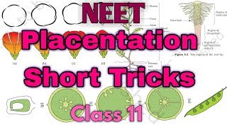 Morphology Of Flowering Plants Short tricksHow to memorize examples of Morphology of plant [upl. by Nabal]