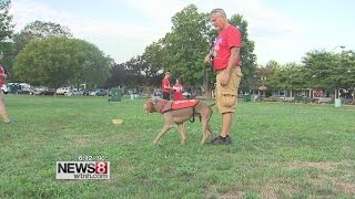 Woofstock raises money for homeless animals [upl. by Gannie]