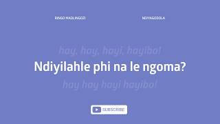 RINGO MADLINGOZI  NDIYAGODOLA LYRICS Karaoke [upl. by Alemap]