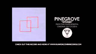 Pinegrove  quotAphasiaquot Official Audio [upl. by Gilson]