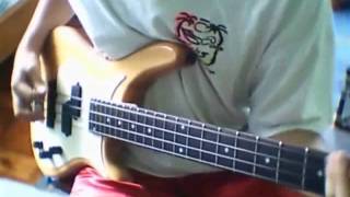 Paul McCartney  Figure of Eight Bass Cover [upl. by Neersan89]